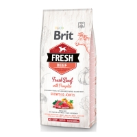 BRIT Fresh Bones & Joints Junior L-XL, Vită cu Dovleac, pachet economic hrană uscată conținut redus cereale câini junior, 12kg x 2
