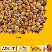 PEDIGREE Vital Protection Adult, Pui și Legume, hrană uscată câini, 10kg