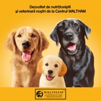 PEDIGREE Vital Protection Adult, Vită și Pasăre, conservă hrană umedă câini, (în aspic), 400g