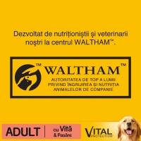 PEDIGREE Vital Protection Adult, Vită și Pasăre, pachet economic hrană uscată câini, 15kg x 2