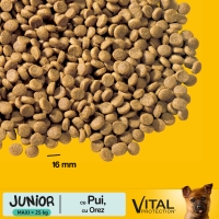 PEDIGREE Vital Protection Junior L, Pui și Orez, hrană uscată câini junior, 15kg