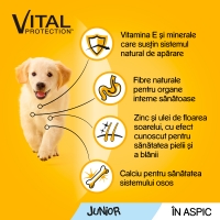 PEDIGREE Vital Protection Junior, Pui, plic hrană umedă câini junior, (în aspic), 100g
