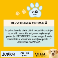 PEDIGREE Vital Protection Junior, Pui și Orez, hrană uscată câini junior, 15kg