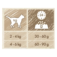 PURINA Cat Chow Adult, Somon, hrană uscată pentru pisici, 15kg