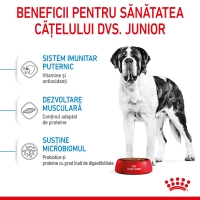 ROYAL CANIN Giant Junior, hrană uscată câini junior, etapa 2 de creștere, 15kg