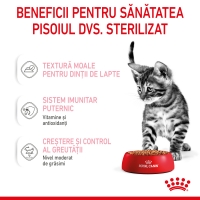 ROYAL CANIN Kitten Sterilised, bax hrană umedă pisici sterilizate junior, (în sos), 85g x 12