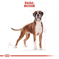 Royal Canin Boxer Adult, hrană uscată câini, 12kg