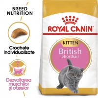 Royal Canin British Shorthair Kitten, hrană uscată pisici junior, 2kg