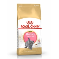 Royal Canin British Shorthair Kitten, hrană uscată pisici junior, 10kg