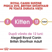 Royal Canin British Shorthair Kitten, hrană uscată pisici junior, 400g