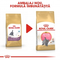 Royal Canin British Shorthair Kitten, pachet economic hrană uscată pisici junior, 10kg x 2