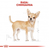 Royal Canin Chihuahua Adult, plic hrană umedă câini (pate), 85g