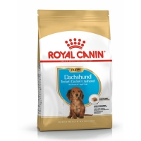 Royal Canin Dachshund Puppy, hrană uscată câini juniori, Teckel, 1.5kg