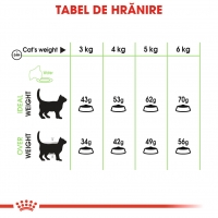 Royal Canin Digestive Care Adult, hrană uscată pisici, confort digestiv, 10kg