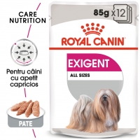 Royal Canin Exigent Adult, bax hrană umedă câini, apetit capricios, (pate) 85g x 12