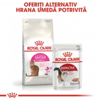 Royal Canin Exigent Savour Adult, pachet economic hrană uscată pisici, apetit capricios, 4kg x 2