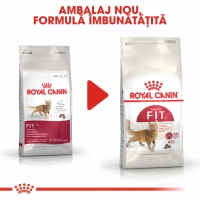 Royal Canin Fit32 Adult, hrană uscată pisici, activitate fizică moderată, 400g