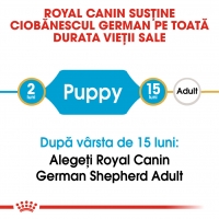 Royal Canin German Shepherd Puppy, hrană uscată câini junior, Ciobănesc German, 3kg