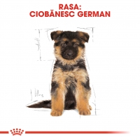 Royal Canin German Shepherd Puppy, hrană uscată câini junior, Ciobănesc German, 1kg