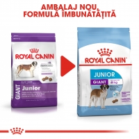 Royal Canin Giant Junior, hrană uscată câini junior, etapa 2 de creștere, 15kg