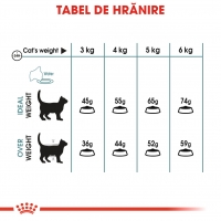 Royal Canin Hairball Care Adult, hrană uscată pisici, limitarea ghemurilor de blană, 10kg