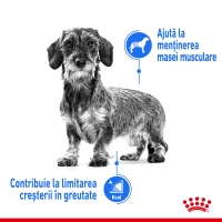 Royal Canin Light Weight Care Adult, plic hrană umedă câini, managementul greutății (pate), 85g