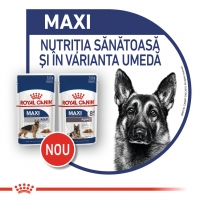 Royal Canin Maxi Adult, plic hrană umedă câini, (în sos), 140g