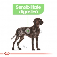ROYAL CANIN Maxi Digestive Care, hrană uscată câini, confort digestiv, 12kg