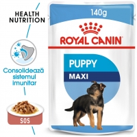 Royal Canin Maxi Puppy, plic hrană umedă câini junior, (în sos), 140g
