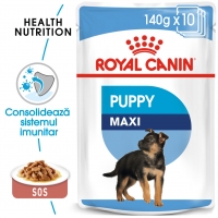 Royal Canin Maxi Puppy, bax hrană umedă câini junior, (în sos), 140g x 10