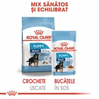 Royal Canin Maxi Puppy, plic hrană umedă câini junior, (în sos), 140g