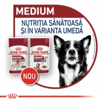 Royal Canin Medium Adult, plic hrană umedă câini, (în sos), 140g