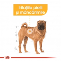 Royal Canin Medium Dermacomfort, hrană uscată câini, prevenirea iritațiilor pielii, 3kg
