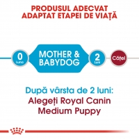 Royal Canin Medium Starter Mother & BabyDog, mama și puiul, hrană uscată câini, 4kg