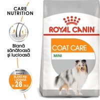 Royal Canin Mini Coat Care Adult, hrană uscată câini, blană sănătoasă și lucioasă, 3kg