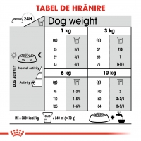 Royal Canin Mini Dental Care Adult, hrană uscată câini, reducerea formării tartrului, 1kg