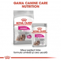 Royal Canin Mini Exigent, hrană uscată câini, apetit capricios, 1kg