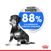 Royal Canin Mini Light Weight Care Adult, hrană uscată câini, managementul greutății, 8kg