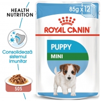 Royal Canin Mini Puppy, bax hrană umedă câini junior (în sos), 85g x 12