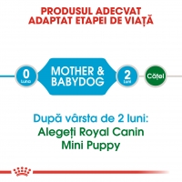 Royal Canin Mini Starter Mother & BabyDog, mama și puiul, pachet economic hrană uscată câini, 8.5kg