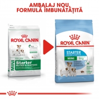 Royal Canin Mini Starter Mother & BabyDog, mama și puiul, pachet economic hrană uscată câini, 8.5kg