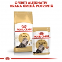 Royal Canin Persian Adult, pachet economic hrană uscată pisici, 10kg x 2