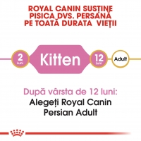 Royal Canin Persian Kitten, hrană uscată pisici junior, 10kg