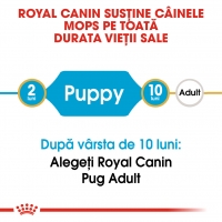 Royal Canin Pug Puppy, hrană uscată câini junior, 1.5kg