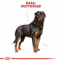 Royal Canin Rottweiler Adult, hrană uscată câini, 12kg