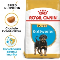 Royal Canin Rottweiler Puppy, pachet economic hrană uscată câini junior, 12kg x 2