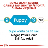 Royal Canin Shih Tzu Puppy, hrană uscată câini junior, 500g