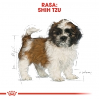 Royal Canin Shih Tzu Puppy, hrană uscată câini junior, 1.5kg