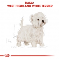 Royal Canin West Highland Terrier Adult, hrană uscată câini Westie, 3kg