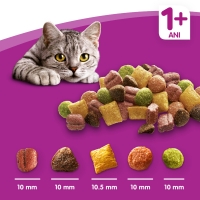 WHISKAS Adult, Vită, hrană uscată pisici, 14kg